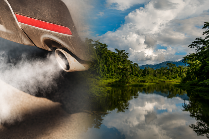 Cabify mide huella de carbono de cada viaje y compensa la contaminación con proyectos en selva por medio de créditos de carbono certificados.